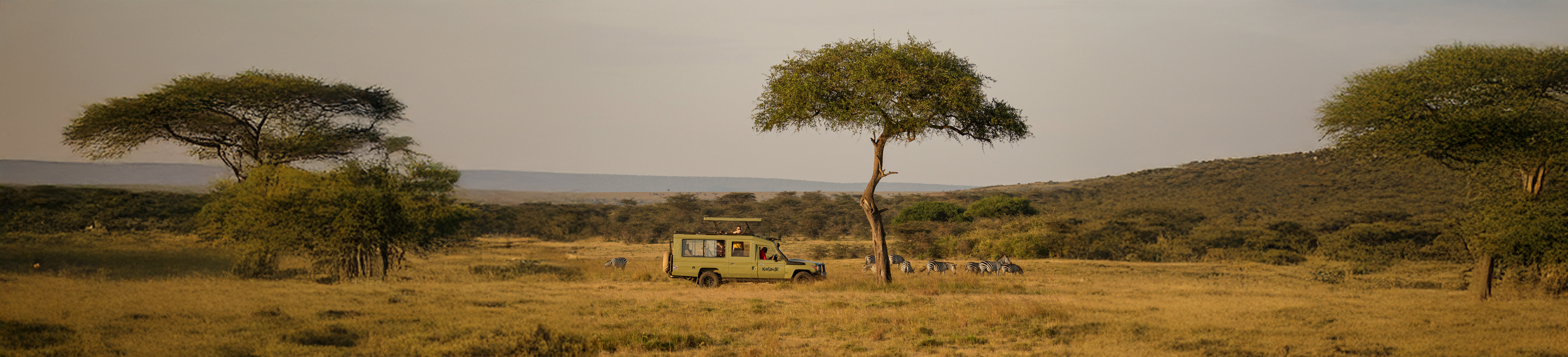 Safaris en África este 2026