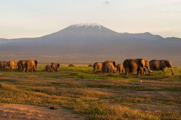 Amboseli