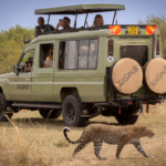 Samburu