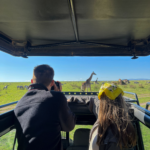 Serengeti