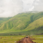 Ngorongoro